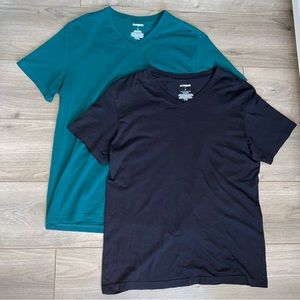 Express V-Neck Shirt